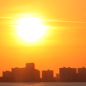 Wednesday: Sunny